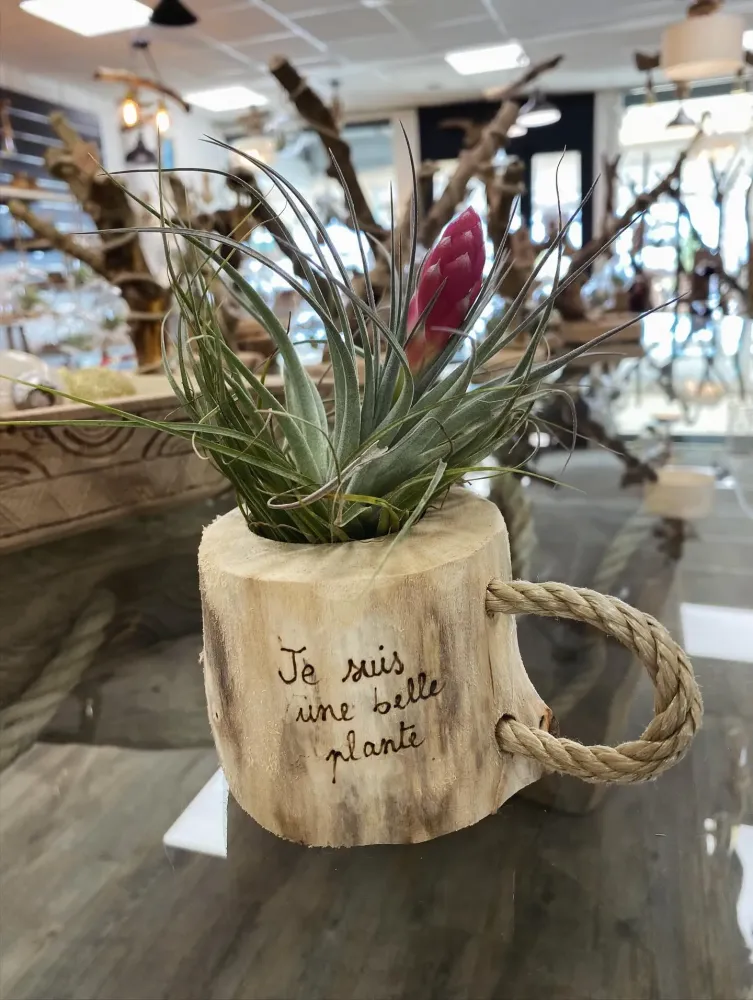 caboceane creations (7)