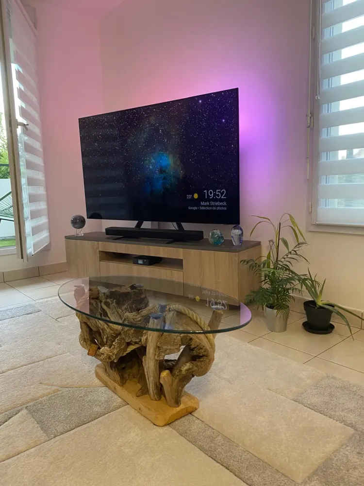 Table basse souche
